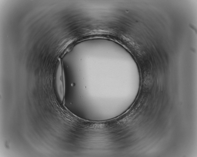 X0000097951313200804140953