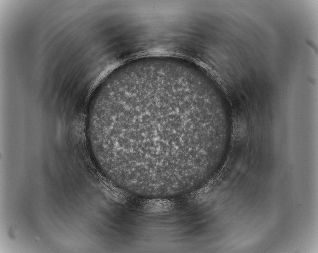 X0000097951314200804140953
