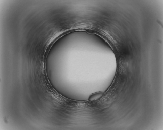 X0000097951316200804140953