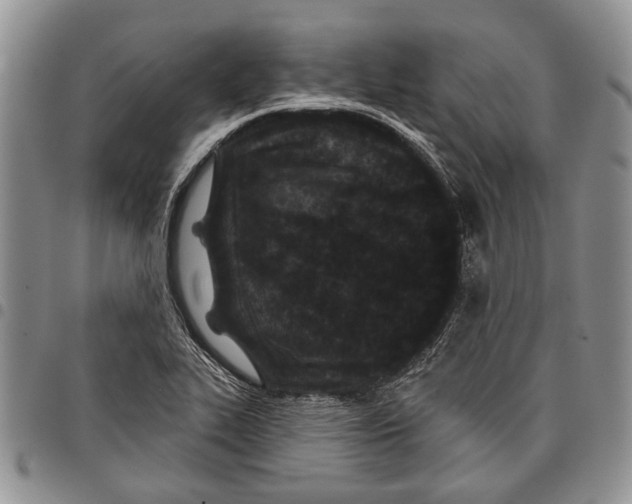 X0000097951319200804140953