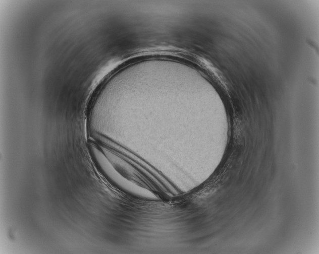 X0000097951320200804140953