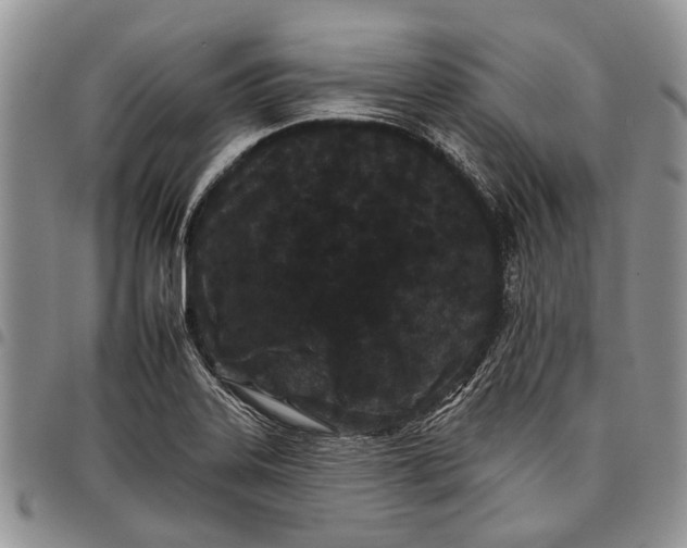X0000097951323200804140953