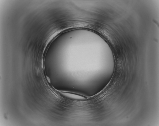 X0000097951324200804140953