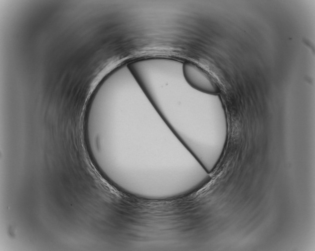 X0000097951325200804140953