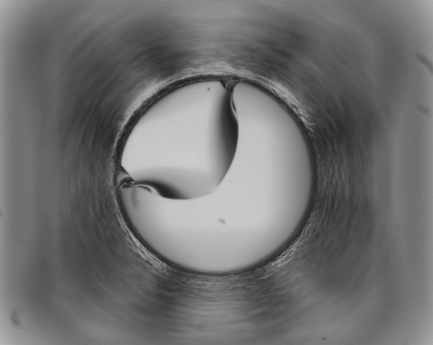 X0000097951326200804140953