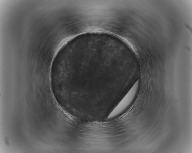 X0000097951327200804140953