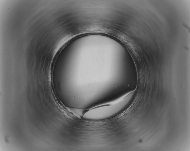 X0000097951328200804140953