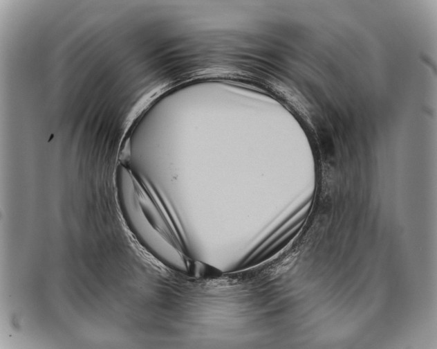 X0000097951330200804140953