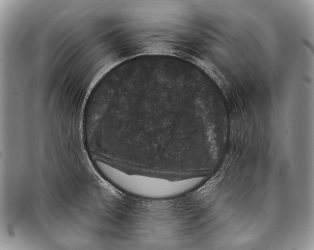 X0000097951331200804140953