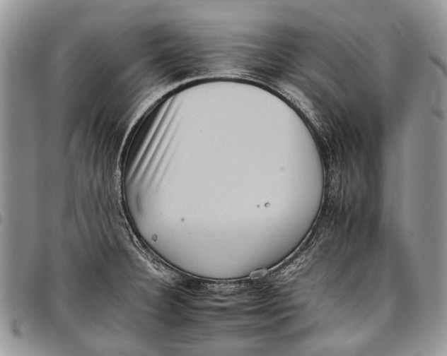 X0000097951332200804140953