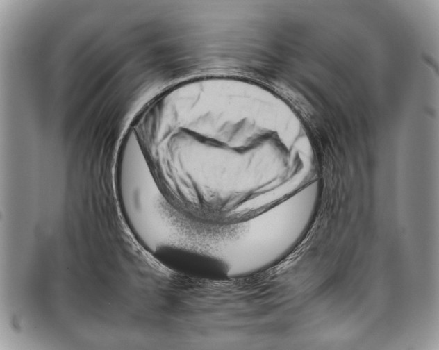 X0000097951334200804140953