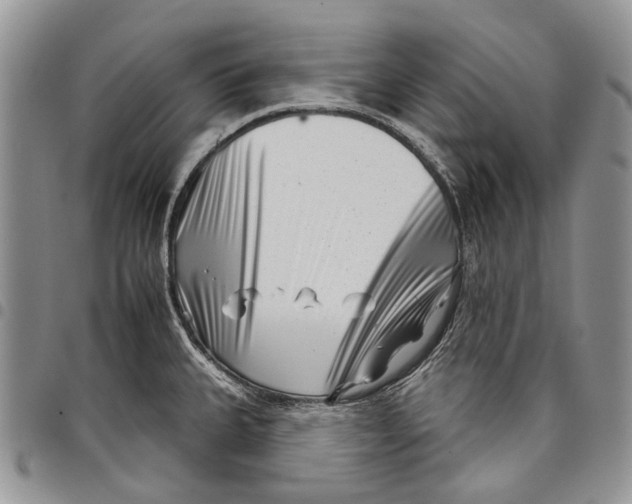 X0000097951335200804140953
