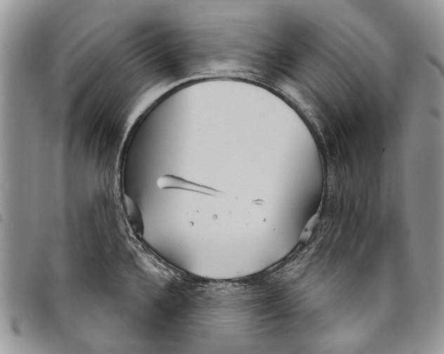 X0000097951336200804140953