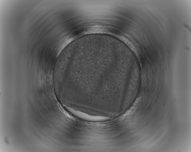 X0000097951337200804140953