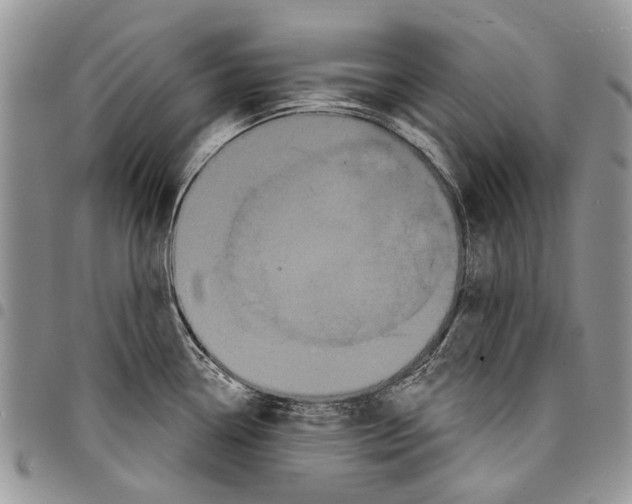 X0000097951338200804140953