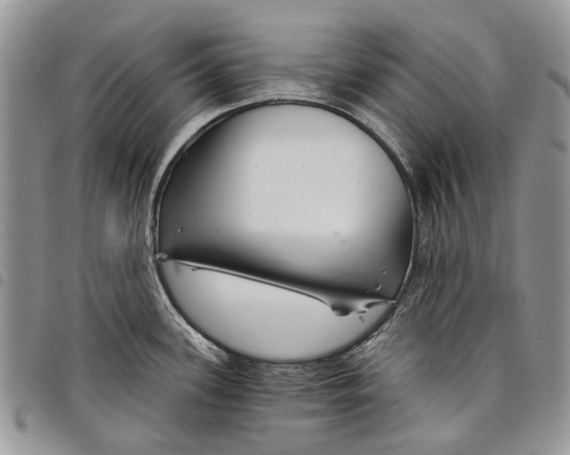 X0000097951339200804140953