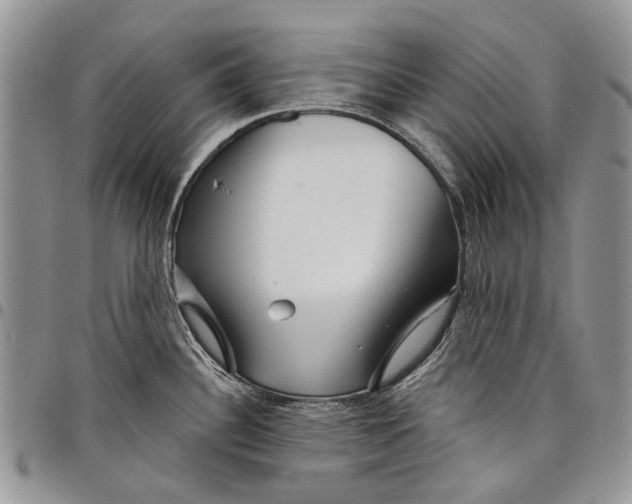 X0000097951340200804140953