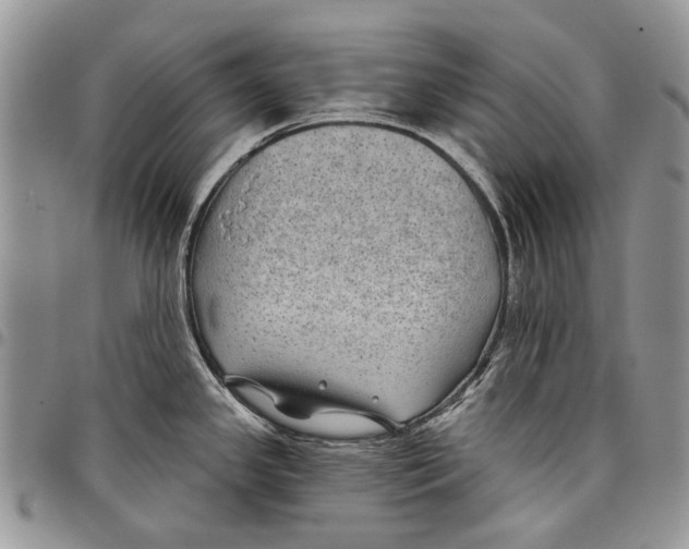 X0000097951341200804140953