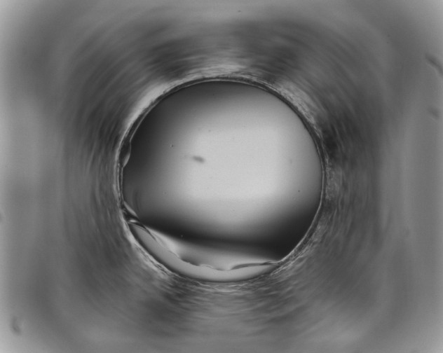 X0000097951342200804140953