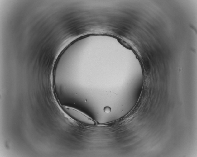 X0000097951343200804140953
