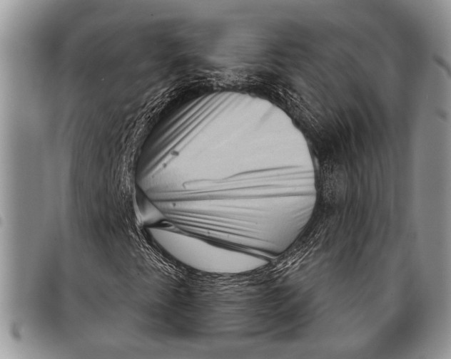 X0000097951345200804140952