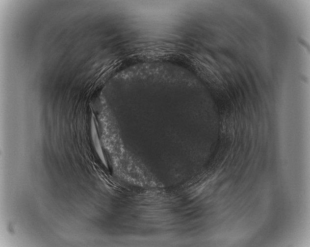 X0000097951346200804140952