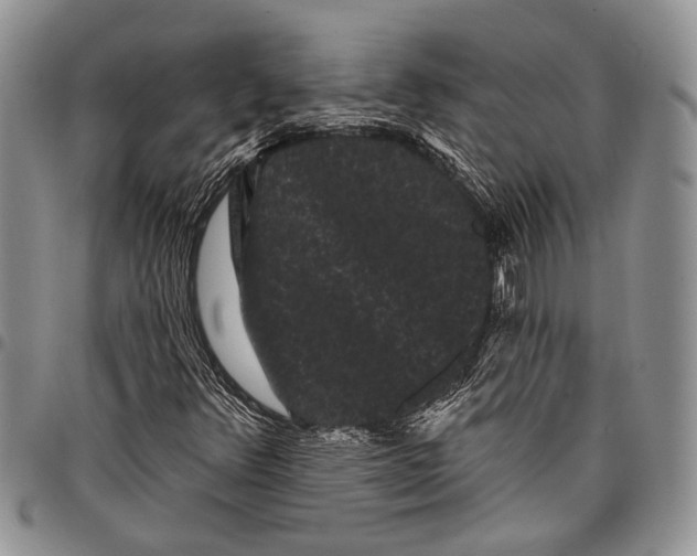 X0000097951348200804140952