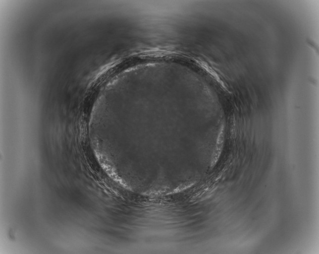 X0000097951350200804140952