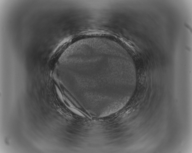 X0000097951351200804140952