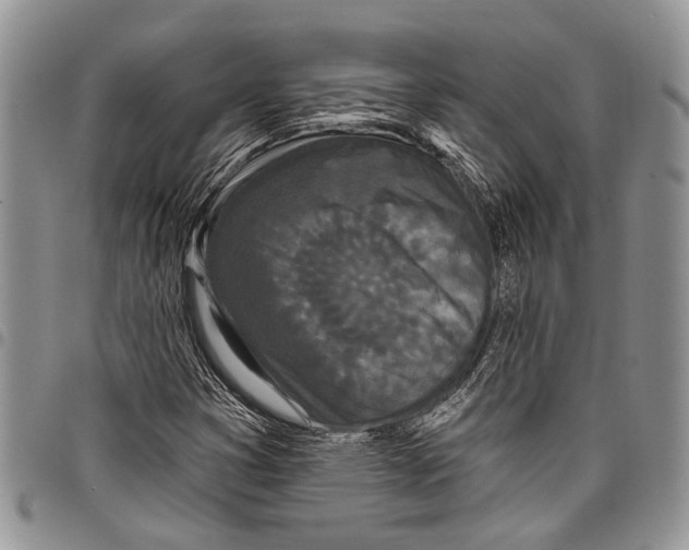 X0000097951353200804140952