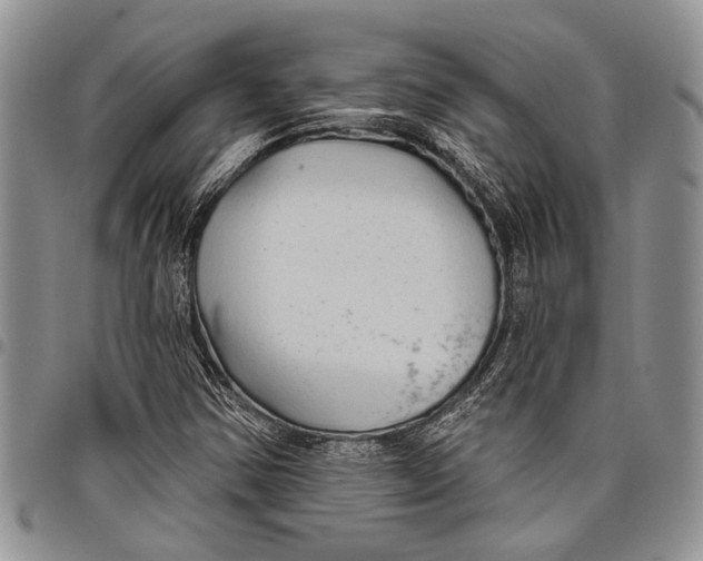X0000097951354200804140952