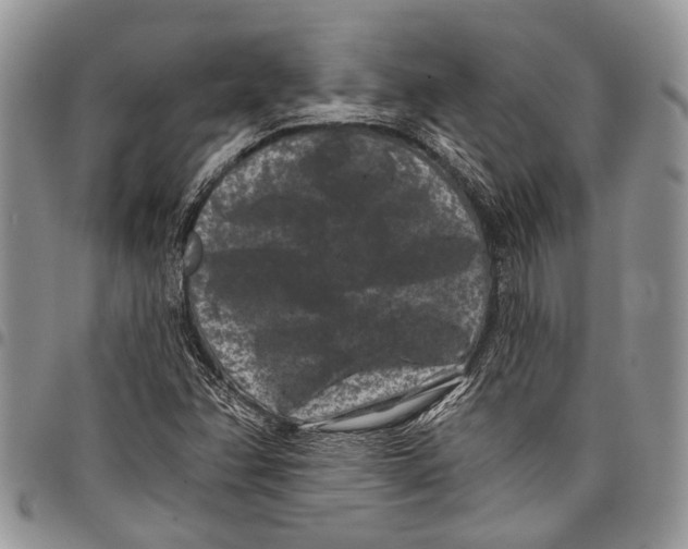 X0000097951358200804140952