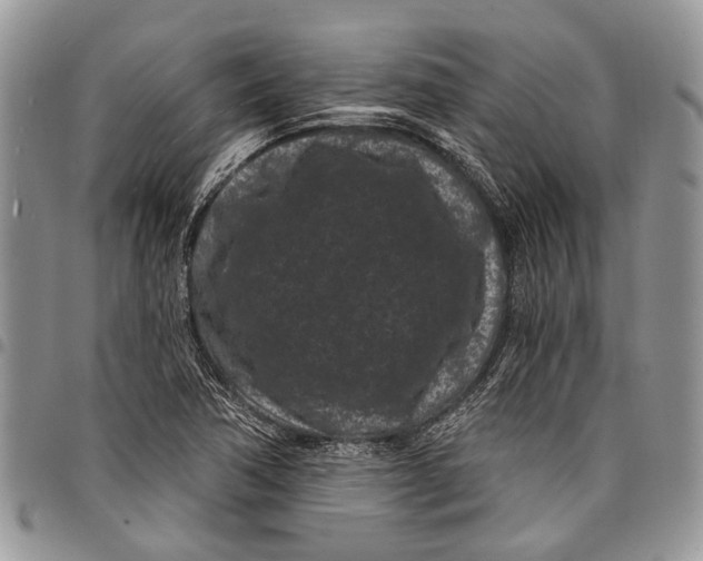 X0000097951362200804140952
