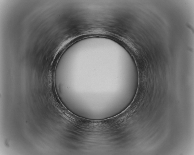 X0000097951364200804140952
