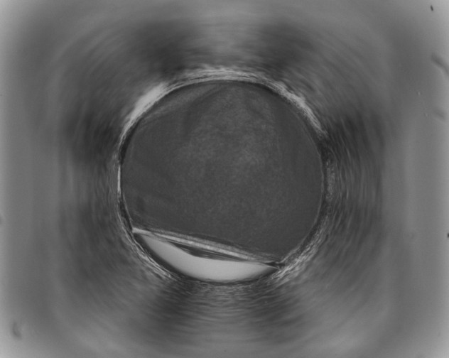 X0000097951365200804140952