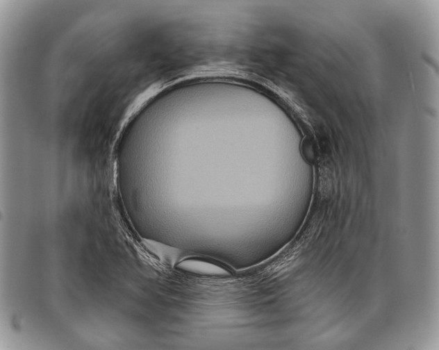 X0000097951366200804140952