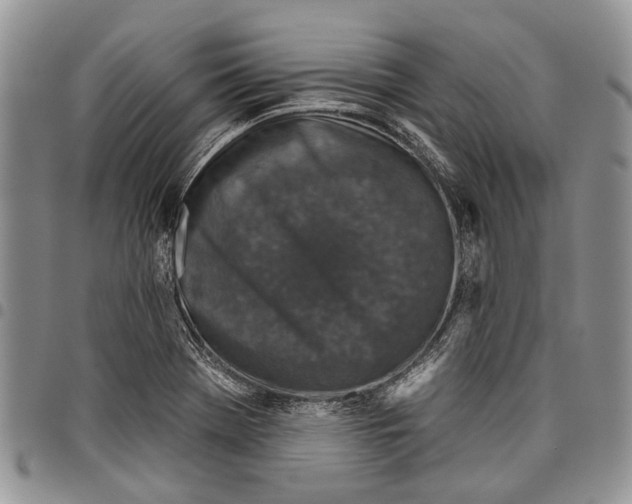 X0000097951369200804140952