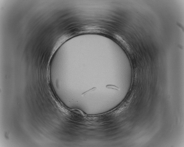 X0000097951370200804140952