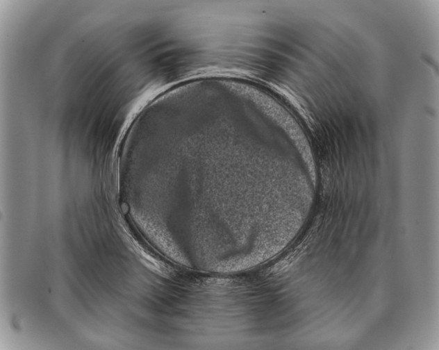 X0000097951371200804140952