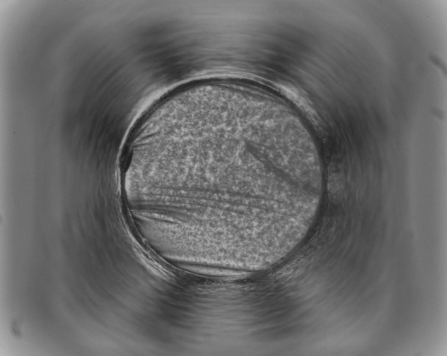 X0000097951372200804140952