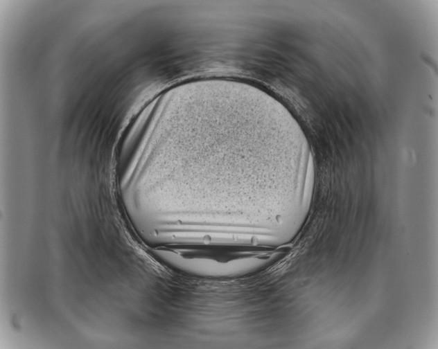 X0000097951374200804140952