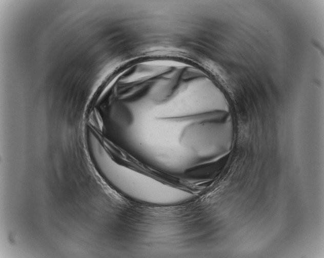 X0000097951376200804140952