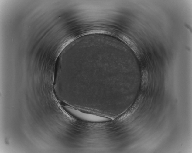 X0000097951377200804140952