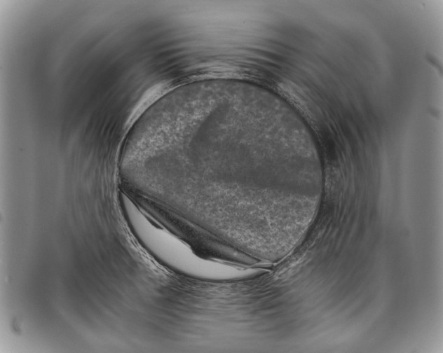 X0000097951378200804140952