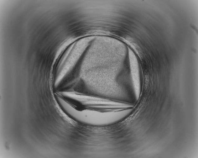 X0000097951379200804140952