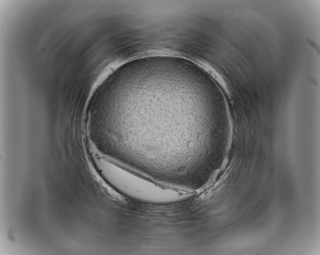X0000097951381200804140952