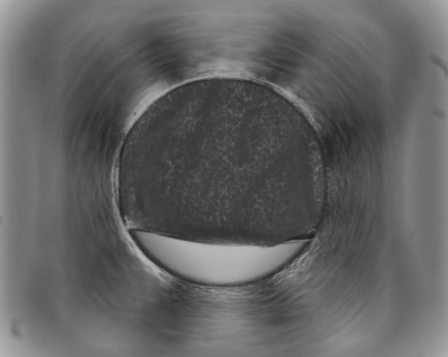 X0000097951383200804140952