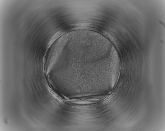 X0000097951386200804140952