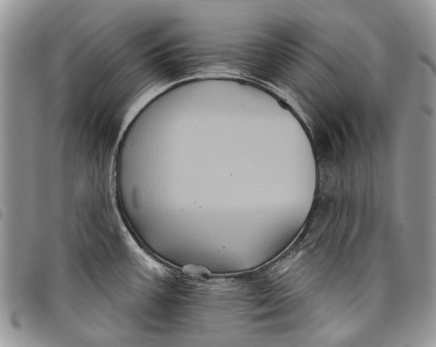 X0000097951387200804140952