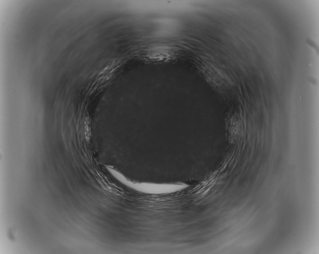 X0000097951394200804140951